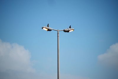 Low angle view of bird perching on street light against blue sky