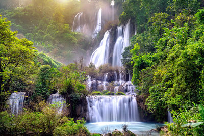 View of waterfall in forest