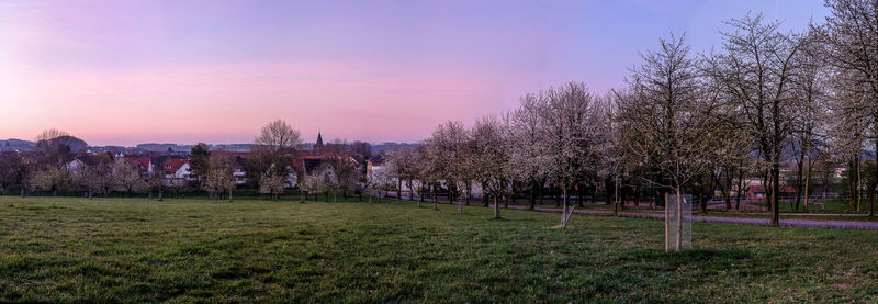 Trees on field against sky during sunset