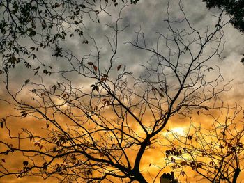 Silhouette bare tree against sky during sunset