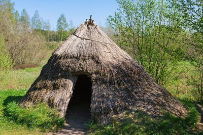 Grass hut on the meadow