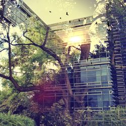 Low angle view of built structure