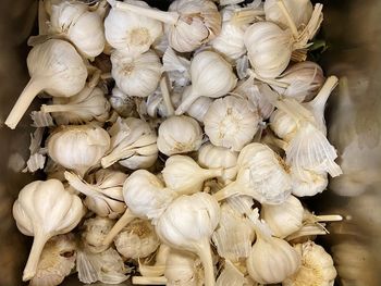 Full frame of garlic bulbs.