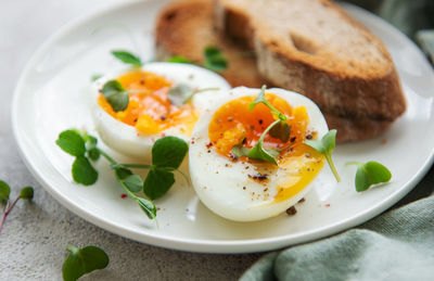 Delicious gourmet breakfast. rye bread with boiled egg, freshly ground pepper and microgreens. 