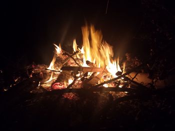 Close-up of bonfire at night