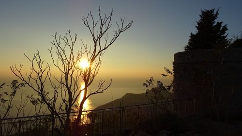 Silhouette plant against sky during sunset