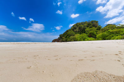 Scenic view of beach against blue sky