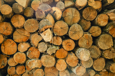 Full frame shot of logs in forest