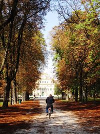 Rear view of man riding bicycle in park during autumn