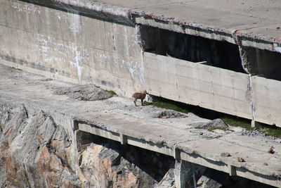 View of a wooden wall
