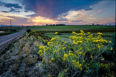 Scenic view of landscape against sky during sunset