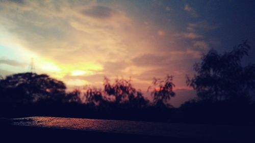 Silhouette of trees at sunset