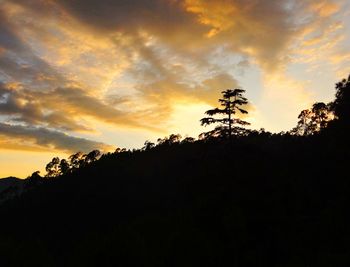 Silhouette trees against sky during sunset