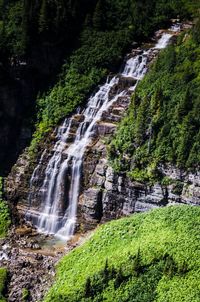 Scenic view of waterfall in forest
