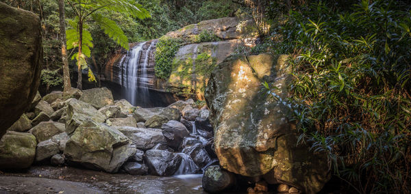 Scenic view of waterfall in forest