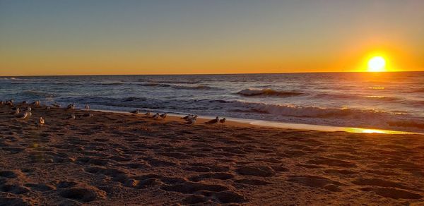 Scenic view of sea against clear sky during sunset