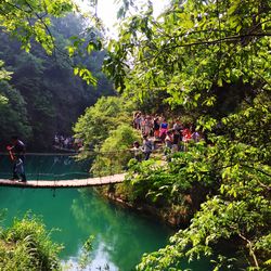 View of people in pond