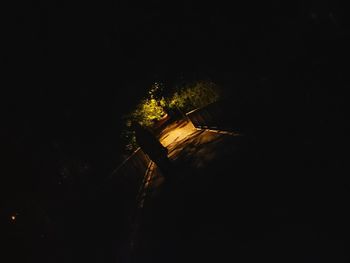 Low angle view of illuminated tree against sky at night