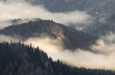 Scenic view of mountains against sky during winter