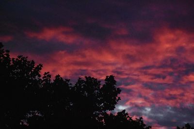 Low angle view of silhouette trees against dramatic sky