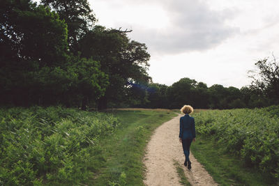 Rear view of woman walking on footpath amidst plants