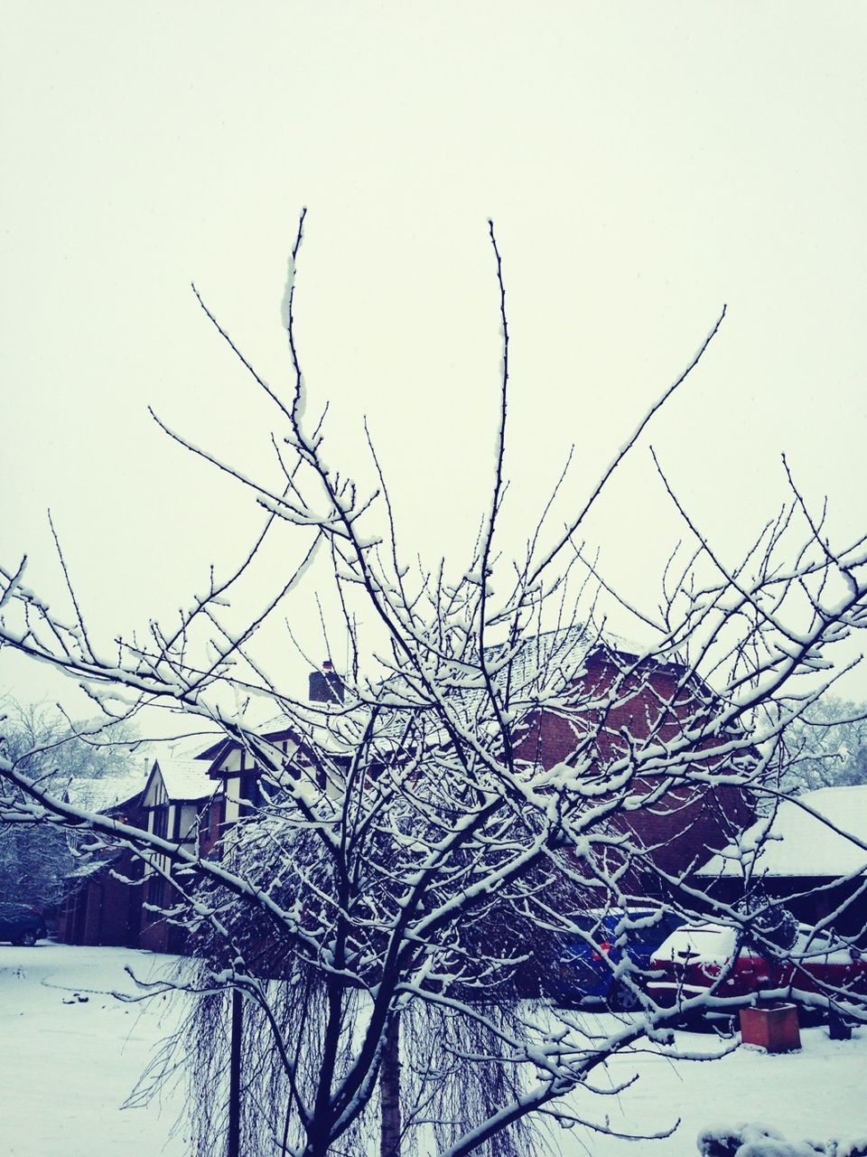 snow, winter, cold temperature, bare tree, season, weather, covering, clear sky, nature, branch, tranquility, field, frozen, dead plant, landscape, white color, tree, snow covered, outdoors, day