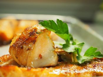 Close-up of meal served in plate