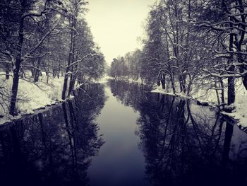 Reflection of trees in lake against sky during winter