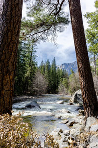 Scenic view of waterfall in forest against sky