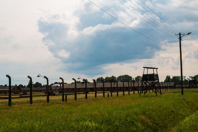 Flock of birds on field against sky