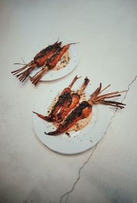 High angle view of insect on table