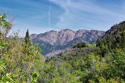 Lake blanche forest twin peaks wilderness, wasatch national forest in big cottonwood canyon utah. 