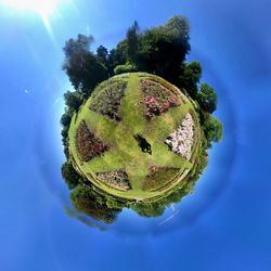 Digital composite image of trees against blue sky