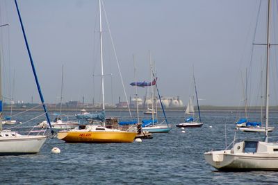 Sailboats moored in marina