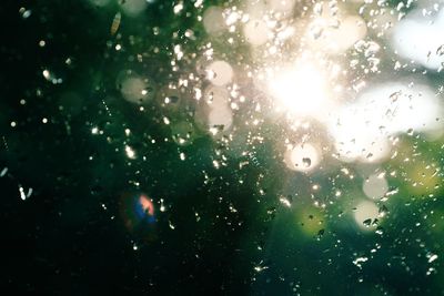 Close-up of water drops on glass