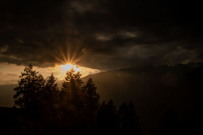 Sunlight streaming through silhouette trees during sunset