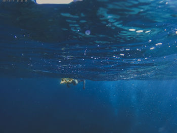 Person swimming in sea