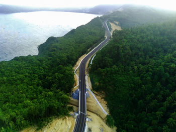 High angle view of road amidst trees