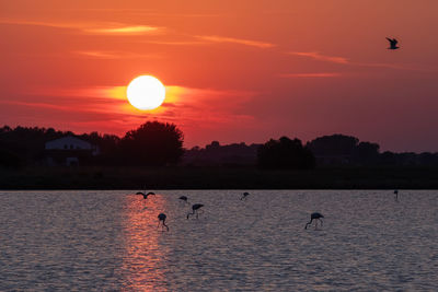 Scenic view of lake against orange sky