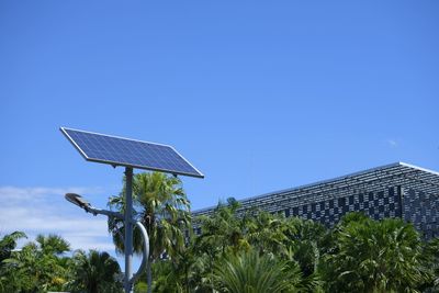 Low angle view of plants against blue sky