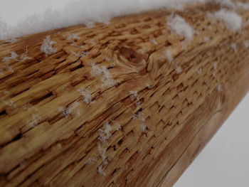 Close-up of wooden plank