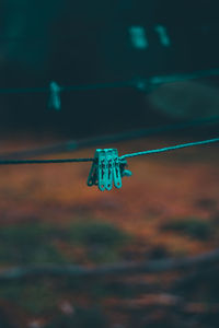 Close-up of clothespins on clothesline