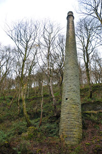 Bare trees in forest against sky