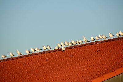 Low angle view of roof against building against clear sky