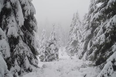 Scenic view of snow covered mountains