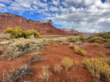 Scenic view of landscape against sky