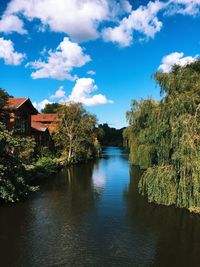 Houses amidst trees and buildings against sky