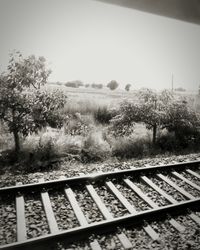 Railroad tracks by trees against clear sky