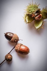 High angle view of food against white background