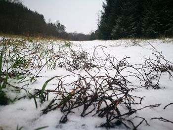 Scenic view of snow covered field against sky